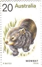 ウォンバット(Wombat)
