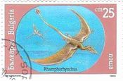 ランフォリンクス（翼竜, Rhamphorhynchus）