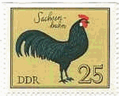 東ドイツ（1979年）　ドイツのニワトリ（鶏）の切手　ザクソン鶏(Saxonian)