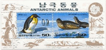 北朝鮮　ペンギンとゴマフアザラシ