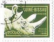 qKVNTCiҁAEastern Black rhinoceros,Diceros bicornisj