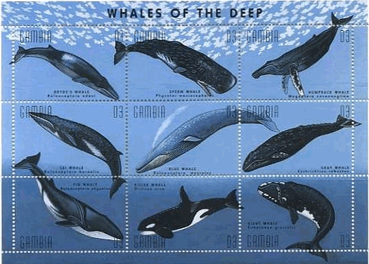 ガンビア発行の水棲哺乳類の切手シート　マッコウクジラ　シロナガスクジラ