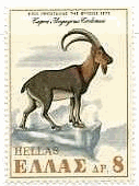 쐶̃M(goat.MVA1970N)