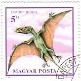 ハンガリーの恐竜(1900年）　翼竜・ディモルフォドン(Dimorphodon)