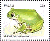 サモアの両生類　切手　ヒバリアマガエル( Long-toed Tree Frog)