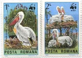 ルーマニアのペリカン切手（動物保護）