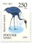 マナヅル（ロシア、1993年）　Grus vipio　切手