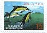 台湾のイルカ