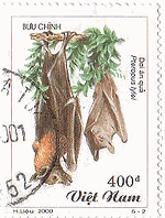 CIIRE(Pteropus lylei.Axgi,2000N)
