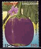 バングラディシュ　野菜　切手　栽培ナス(Solanum melongena)