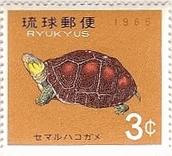 沖縄・セマルガコガメ　カメ　切手