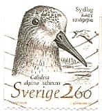 スウェーデン　ハマシギ　（シギ科）　切手