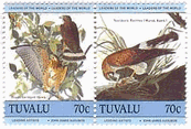 ツバル　Broad-winged hawk/Northern harrier　鳥　切手