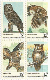 アメリカの猛禽類　アメリカフクロウ　Barred Owl,アメリカワシミミズク　Great Horned Owl　フクロウ(great-grey-owl),アメリカキンメフクロウ (Saw-whet Owl)