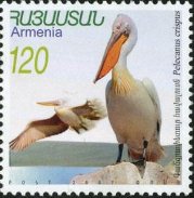 ペリカン（アルメニア、2007年）