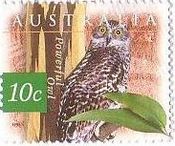 オニアオバズク（Ninox strenua, Powerful Owl、ｵｰｽﾄﾗﾘｱ､1996年）