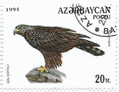アゼルバイジャンの猛禽類（1994年）　ソウゲンワシ （草原鷲、Aquila nipalensis）