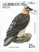 アゼルバイジャンの猛禽類（1994年）　ヒゲワシ（髭鷲、Gypaetus barbatus）