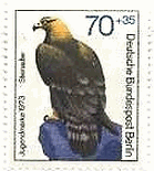 イヌワシ（Golden Eagle、Aquila chrysaetos、ベルリン） 