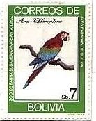 ベニコンゴウインコ（学名：Ara chloropterus、英名：Green-winged Macaw または Red-and-green Macaw）　ボリビア