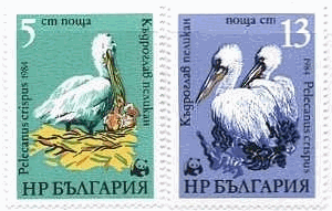 ブルガリアのペリカン切手　ペリカンの親子