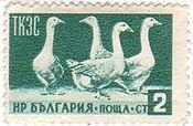 ガチョウ（Geese、ブルガリア、1955年）