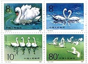 白鳥（中国,1983年,T83）コブハクチョウ、コハクチョウ、オオハクチョウ