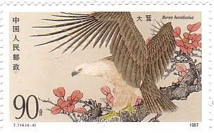 中国の猛禽類(1987年）オオノスリ