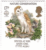 メンフクロウ（イギリス、1986年）　ヨーロッパ切手　自然保護
