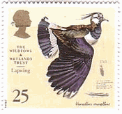 野鳥・湿地トラスト50年（イギリス、1996年）　タゲリ