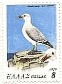 カモメ（Gull、ギリシャ、1979年）