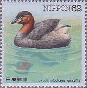 カイツブリ(日本、1991年）　水辺の鳥