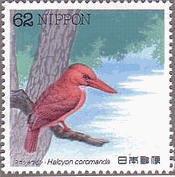 アカショウビン（日本、1992年）　鳥類