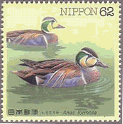 トモエガモ（日本、1993年）　水辺の鳥
