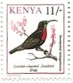 アフリカ・ケニアの鳥たち（1993年）　ヒムネタイヨウチョウ（英名：Scarlet-chested Sunbird 学名：Nectarinia senegalensis ）ｹﾆｱ