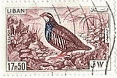 ハイイロイワシャコ（Rock Partridge,Alectoris graeca、キジ科、レバノン、1965年）
