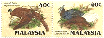 オジロウチワキジ(Lophura bulweri, Bulwer's Pheasant)、セイラン（Argusianus argus, Great Argus）、何れもキジ科（マレーシア、1986年）