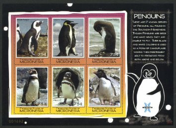 アフリカンペンギン(ケープペンギン)、皇帝ペンギン、ガラパゴスペンギン、フンボルトペンギン、マゼランペンギン、イワトビペンギン