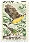 モナコ　鳥たち　ツメナガセキレイ（Yellow Wagtail）