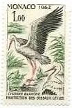 モナコ　鳥たち　ホワイトコウノトリ(White Stork）