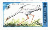 マナヅル（モンゴル、1990年、Grus vipio Pallas、絶滅危惧種）