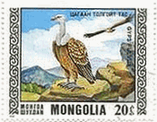 シロエリハゲワシ（Griffon Vulture Gyps fulvus、モンゴル）