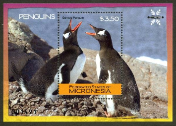 ジェンツーペンギン　国際極年ポーラーイヤー（ミクロネシア、2007年）