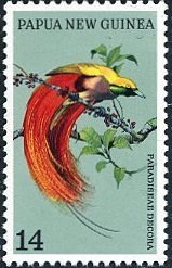 Paradisaea decora, Goldie’s Bird‐of‐paradise, ベニカザリフウチョウ 、ゴクラクチョウ