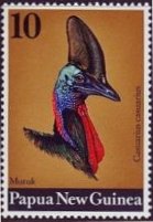 ヒクイドリ（great cassowary）　パプアニューギニア
