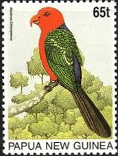パプアキングオウム 　Papuan King Parrot (Alisterus chloropterus)