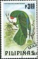 ササハインコ（Tanygnathus sumatranus, w:Blue-backed Parrot）