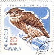 ワシミミズク（Eagle　Owl､ﾙｰﾏﾆｱ、1967年）