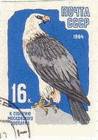 ヒゲワシ（Lammergeier、ソ連、1964年）（学名：Gypaetus barbatus）