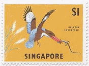 yellow-breast sunbird（タイヨウチョウ、シンガポール）